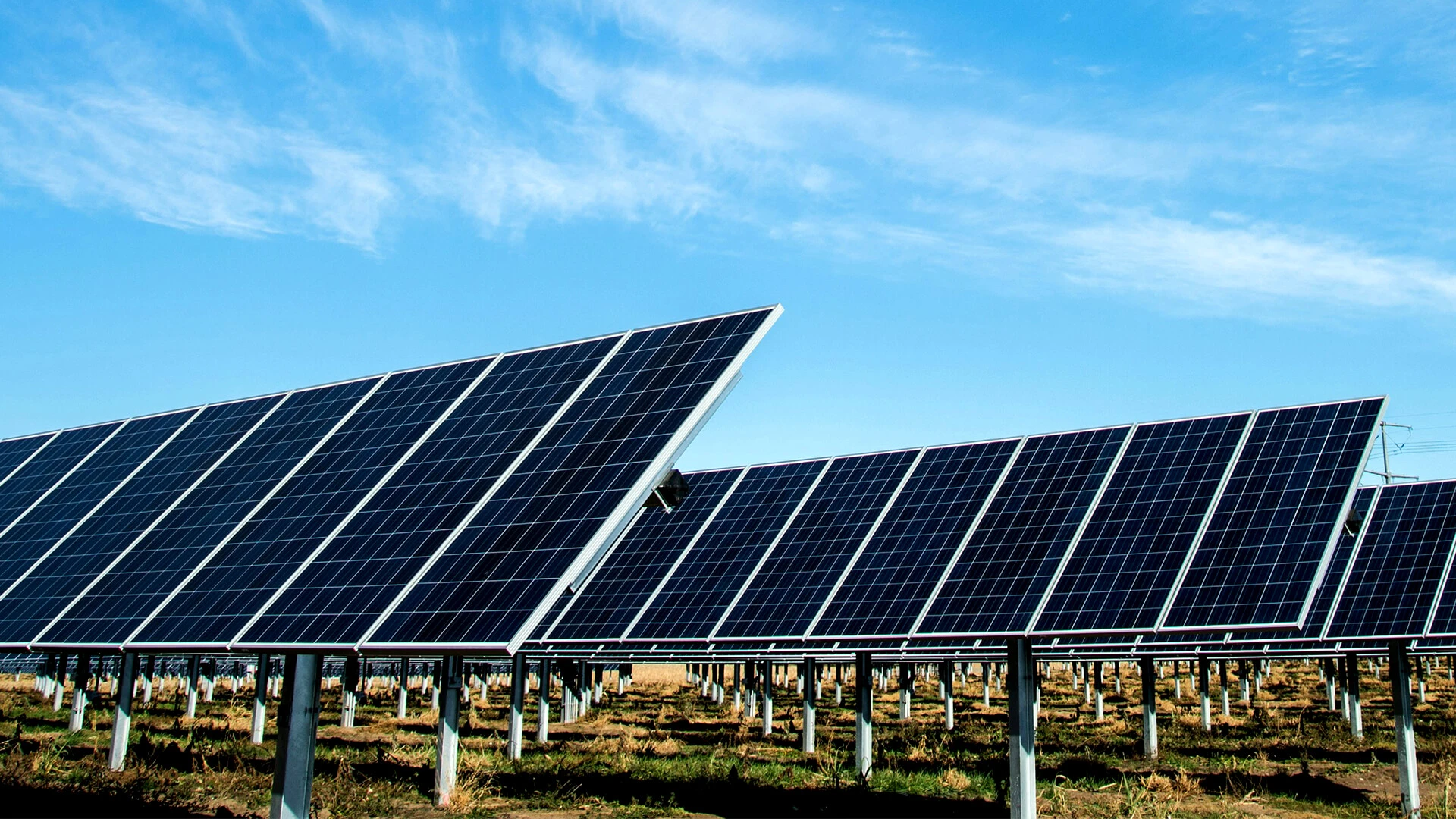 Solar Panel Field